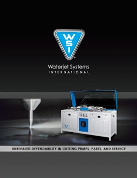 WSI Brochure Download